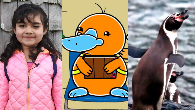 Programas de NTV son nominados en el Festival ComKids 2023