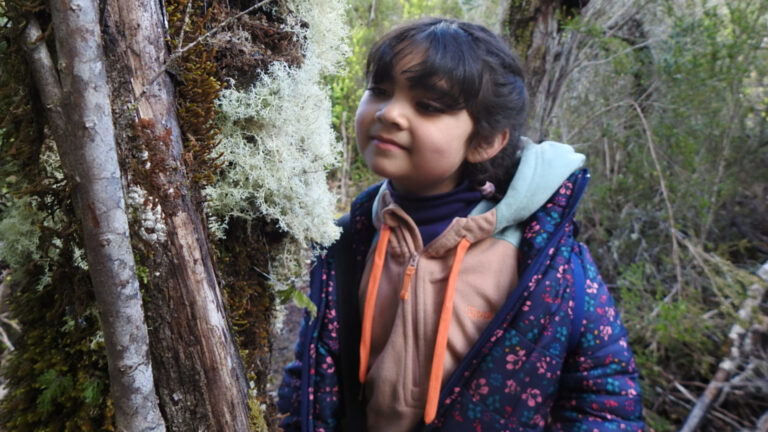 “La Isla Grande de Flo” fue galardonado en el Festival ComKids 2023 -Prix Jeunesse Iberoamericano