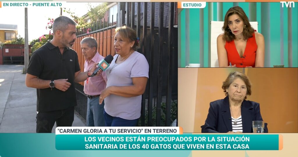 Carmen Gloria a tu servicio repite la hazaña y se instala en el primer lugar de sintonía