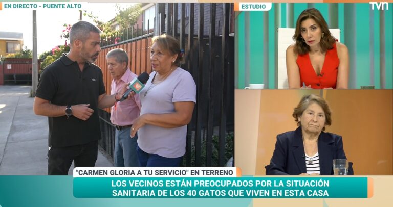 Carmen Gloria a tu servicio repite la hazaña y se instala en el primer lugar de sintonía