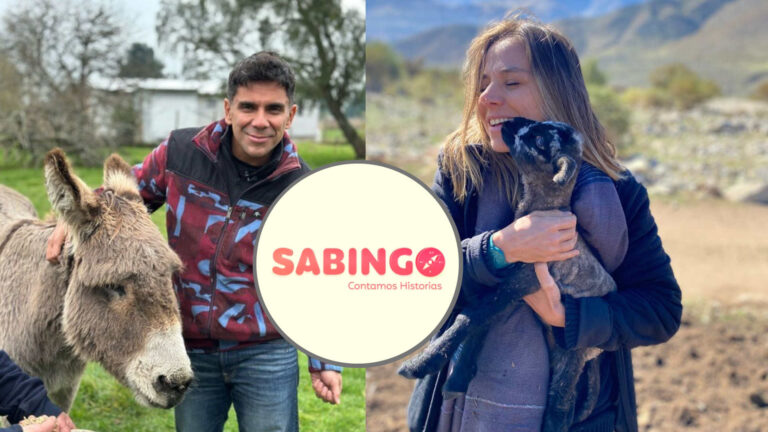 “Sabingo” cumple 10 años y se mantiene en la cúspide de la sintonía de fin de semana